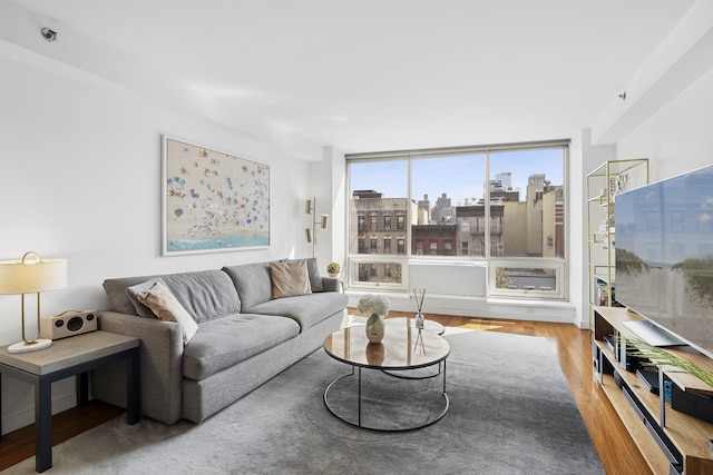 living room featuring wood finished floors