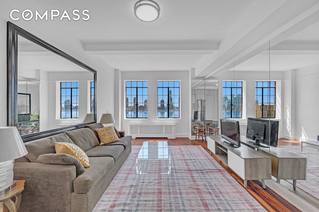 living area featuring beam ceiling, a wealth of natural light, radiator, and wood finished floors