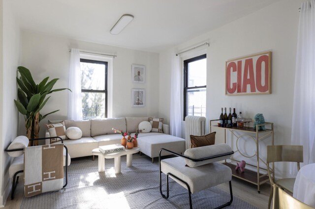21-67 33rd St Unit 5-H, New York City, NY 11105 - living area featuring wood finished floors
