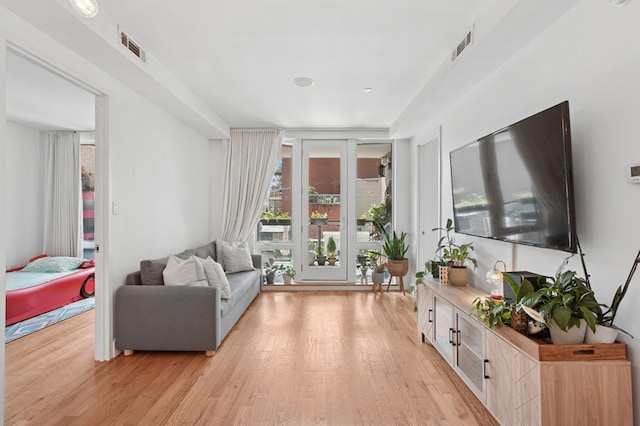 1059 Manhattan Ave Unit 2D, New York City, NY 11222 - living area with healthy amount of natural light and light wood-style floors