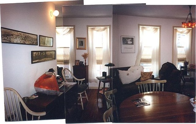 dining area featuring wood finished floors and a healthy amount of sunlight