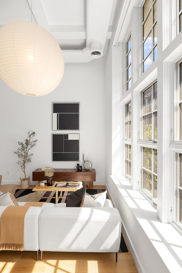 340 Dean St Unit 2B, New York City, NY 11217 - living area with healthy amount of natural light, baseboards, wood finished floors, and a towering ceiling