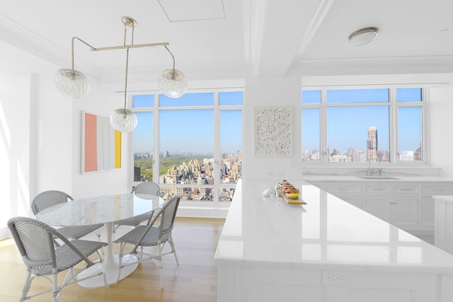 interior space with a view of city and light wood-style floors