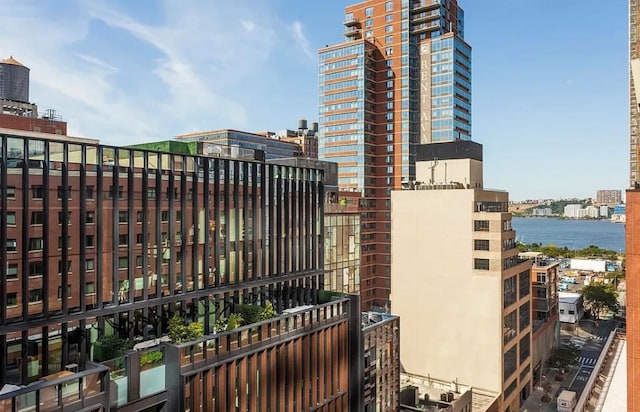 517 W 29th St Phc, Phc, New York City, NY 10001 - gate with a city view