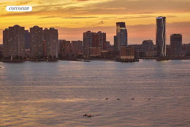 water view featuring a view of city
