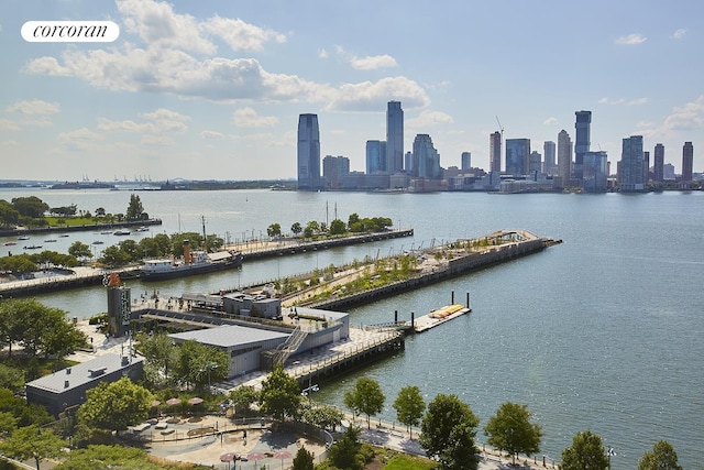view of water feature featuring a dock and a city view