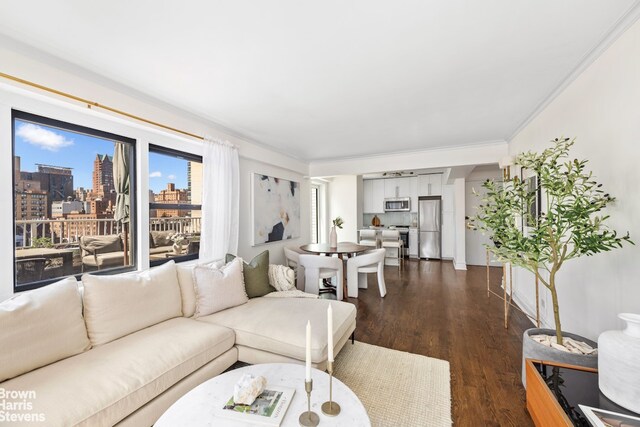 living area featuring ornamental molding, a city view, and dark wood finished floors