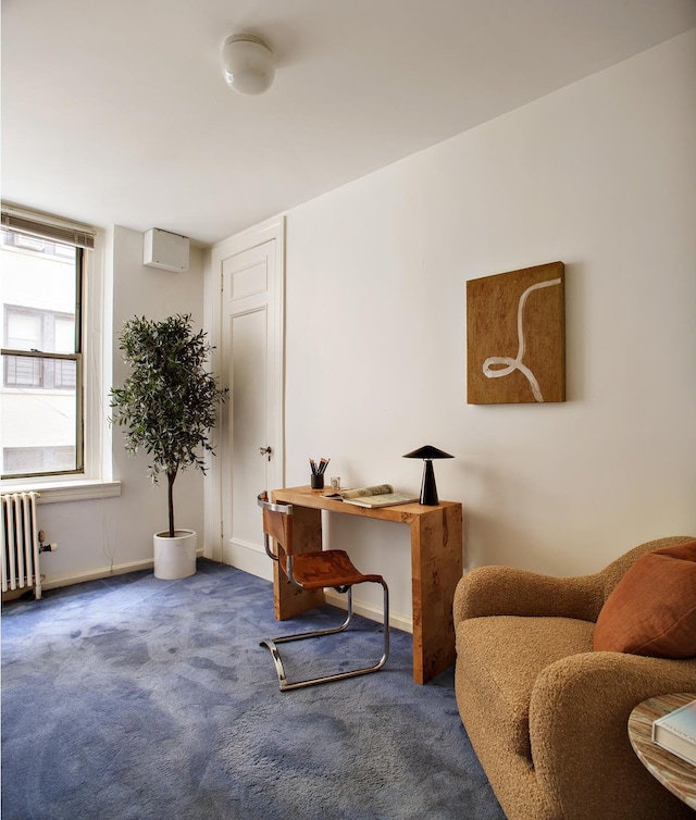 895 W End Ave Unit 3B, New York City, NY 10025 - carpeted office with radiator and baseboards