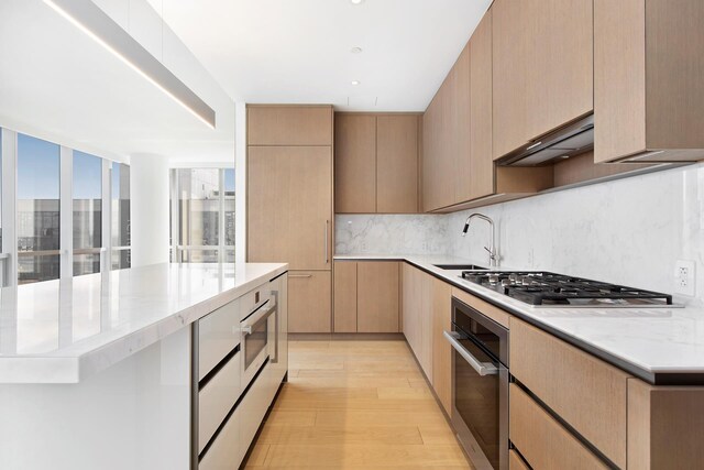 15 Hudson Yards Unit 31A, New York City, NY 10001 - kitchen featuring stainless steel appliances, a sink, under cabinet range hood, light wood finished floors, and decorative backsplash