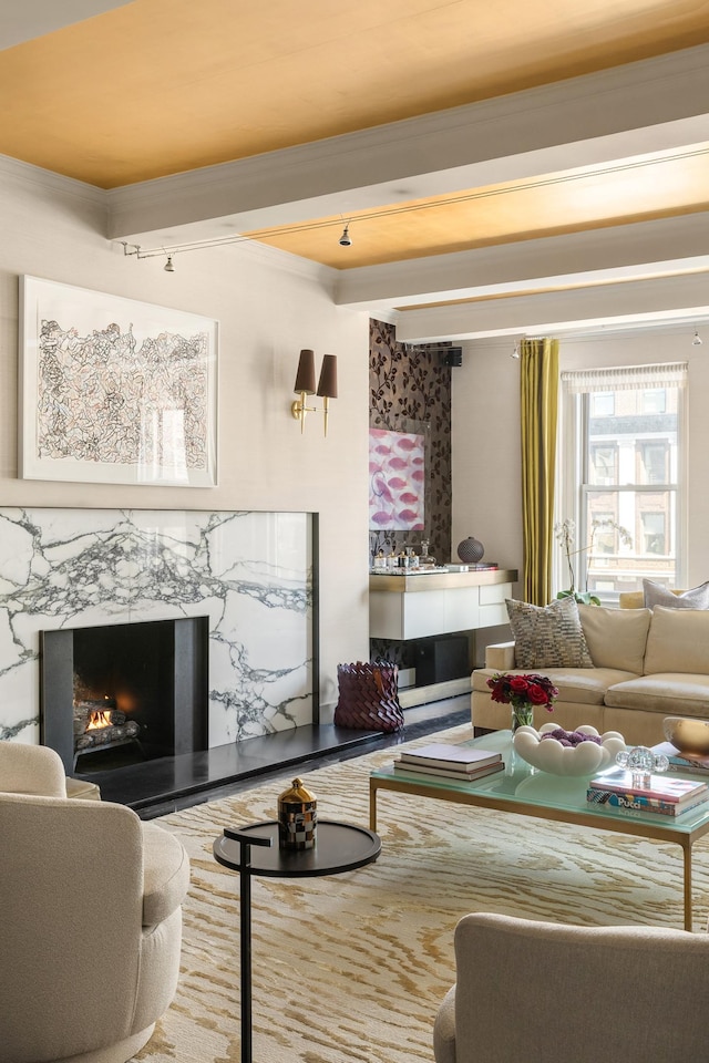 living room featuring beam ceiling and a premium fireplace