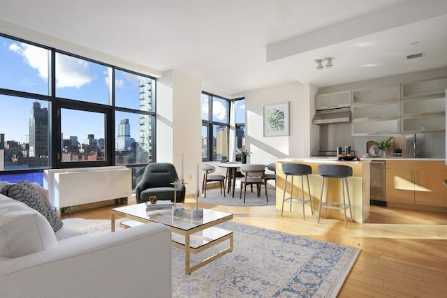 living area with a view of city, visible vents, and light wood-type flooring
