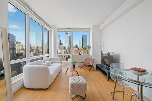 450 W 17th St Unit 1910, New York City, NY 10011 - living area with wood finished floors