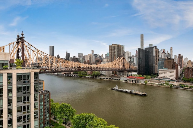 425 Main St Unit 4-C, New York City, NY 10044 - skyline view with a notable bridge and a large body of water