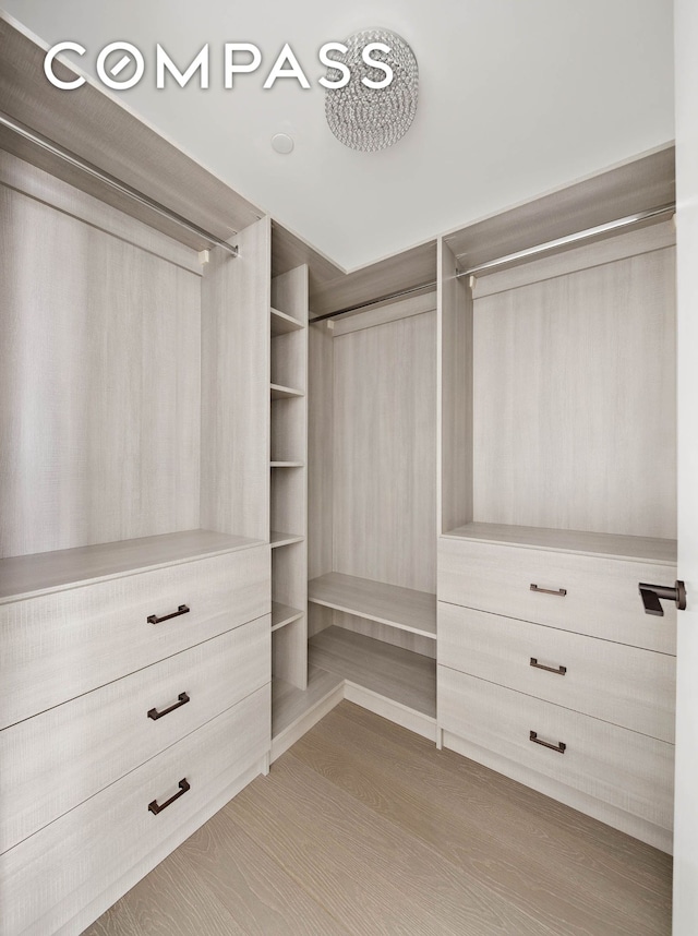 30 Riverside Blvd Unit 33D, New York City, NY 10069 - walk in closet featuring light wood finished floors