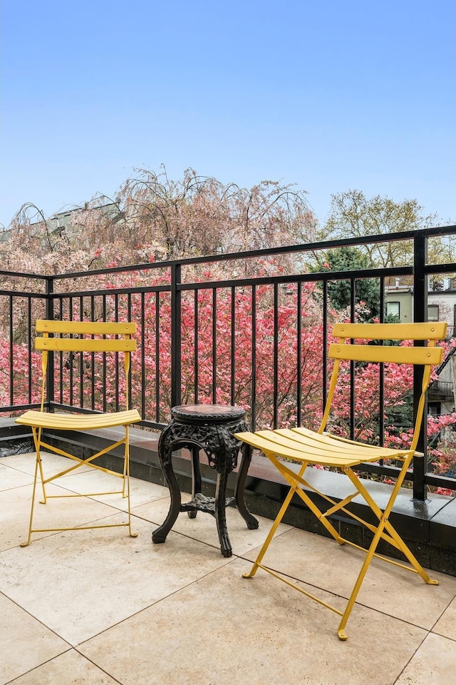 38 Garfield Place, New York City, NY 11215 - view of balcony