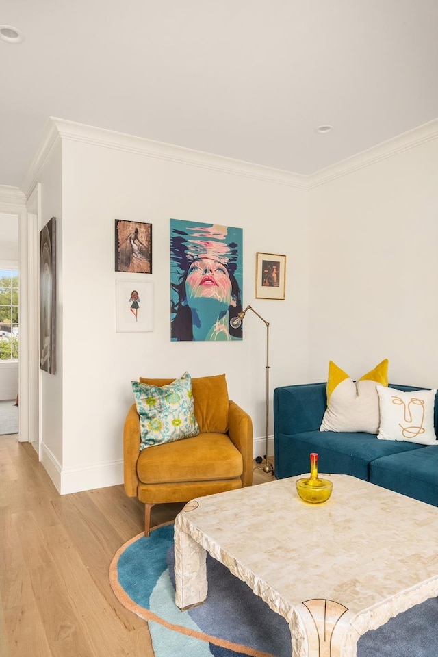 38 Garfield Place, New York City, NY 11215 - living room featuring ornamental molding, baseboards, and light wood-style flooring
