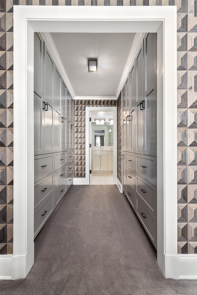 spacious closet with dark carpet