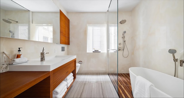 bathroom with vanity, a soaking tub, a healthy amount of sunlight, and a shower