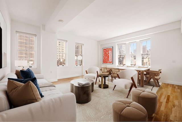 living area with baseboards, a healthy amount of sunlight, and light wood finished floors