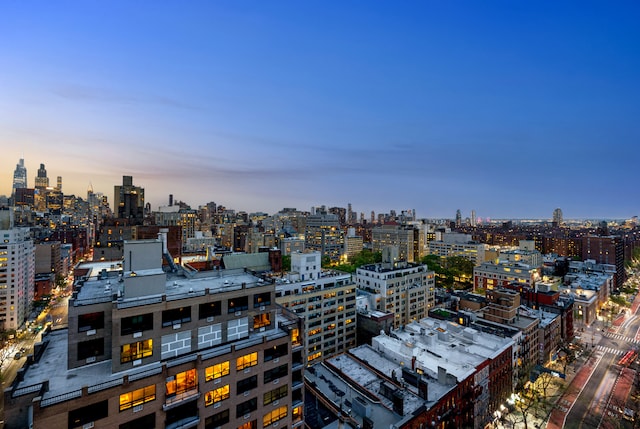 123 3rd Ave Unit Ph18, New York City, NY 10003 - view of city
