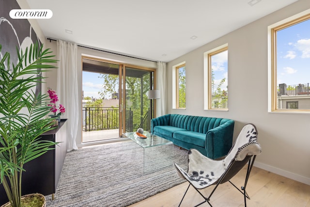 68 Eldert St Unit 3B, New York City, NY 11207 - living area with light wood-style flooring and baseboards