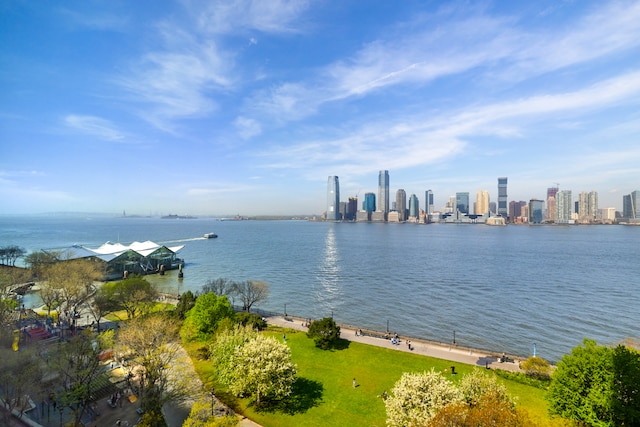 20 River Ter Unit 11L, New York City, NY 10282 - water view featuring skyline