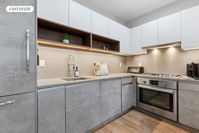 519 Maple St Unit 1B, New York City, NY 11225 - kitchen with stainless steel appliances, open shelves, light countertops, light wood finished floors, and under cabinet range hood