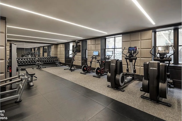 exercise room with a wealth of natural light
