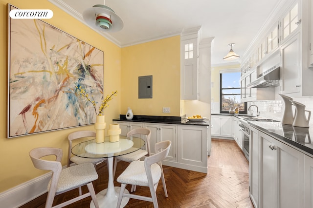 kitchen featuring crown molding, white cabinetry, dark countertops, and electric panel