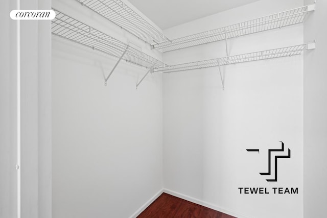 spacious closet featuring dark wood finished floors