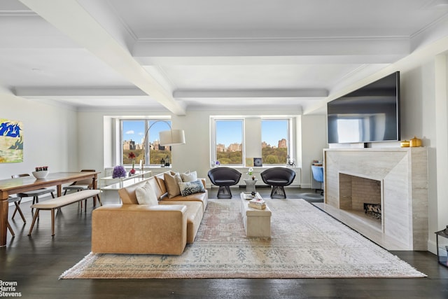 living room with wood finished floors, a fireplace, beam ceiling, and a wealth of natural light