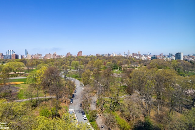 1212 5th Ave Unit 14Ad, New York City, NY 10029 - drone / aerial view of skyline