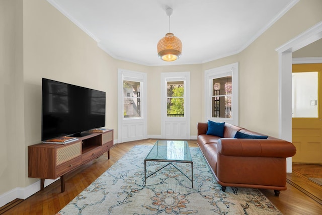living area featuring wood-type flooring, ornamental molding, and baseboards