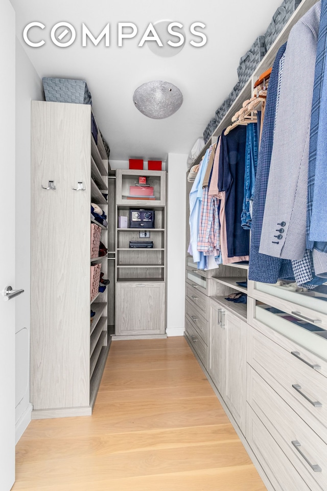 10 Riverside Blvd Unit 28C, New York City, NY 10069 - spacious closet featuring light wood-type flooring