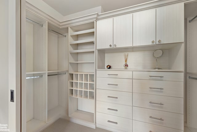 view of walk in closet