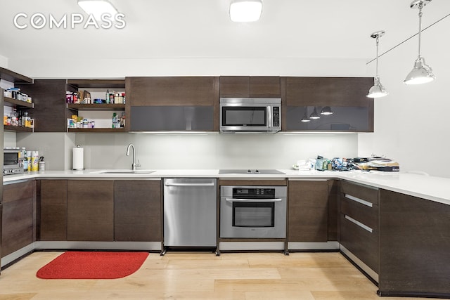 kitchen with modern cabinets, dark brown cabinets, a sink, stainless steel appliances, and light wood-style flooring