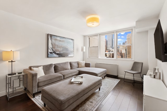 201 E 36th St Unit 17D, New York City, NY 10016 - living area featuring wood-type flooring and radiator heating unit