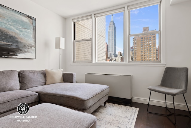 201 E 36th St Unit 17D, New York City, NY 10016 - living area featuring a skyline view, radiator heating unit, baseboards, and dark wood-style flooring