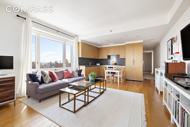 living area featuring light wood finished floors