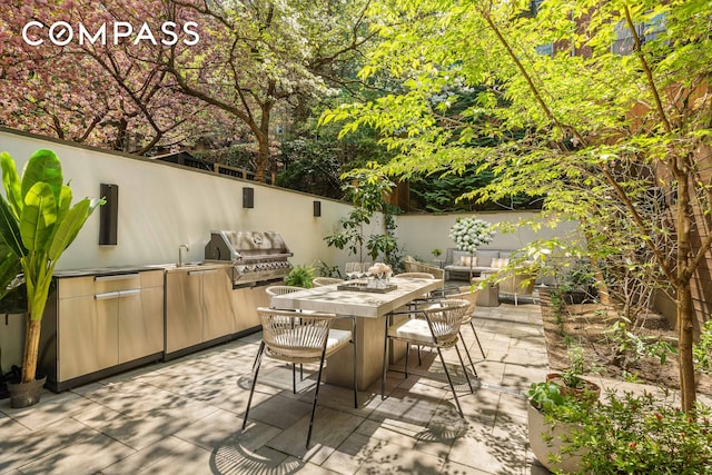 view of patio / terrace with a fenced backyard, outdoor dining space, grilling area, and area for grilling