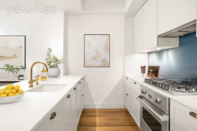 kitchen featuring light countertops, white cabinetry, a sink, light wood-style flooring, and appliances with stainless steel finishes