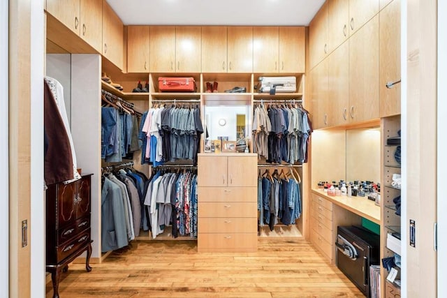 65 W 13th St Unit 9B, New York City, NY 10011 - spacious closet featuring light wood-style flooring