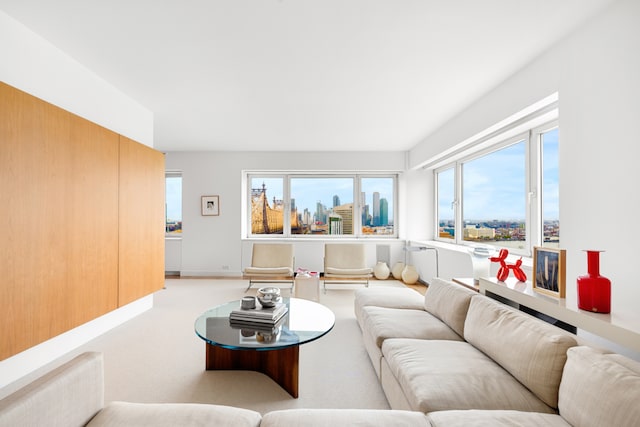 35 Sutton Pl Unit 20A, New York City, NY 10022 - view of carpeted living area