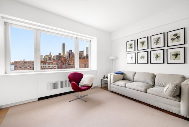 living room with a city view, radiator, and wood finished floors