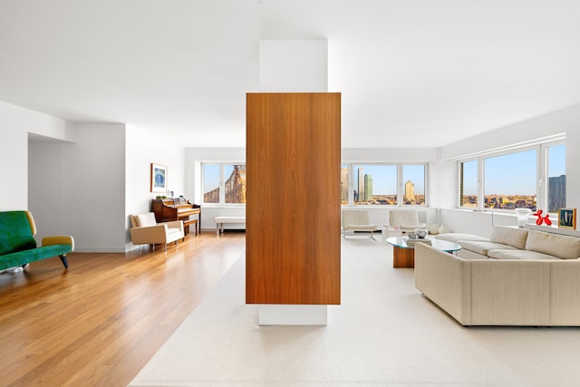 35 Sutton Pl Unit 20A, New York City, NY 10022 - living room featuring light wood-style floors