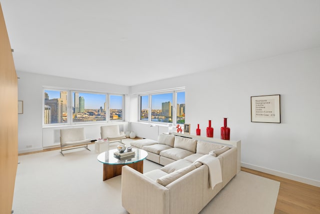 living room with baseboards, a city view, and wood finished floors