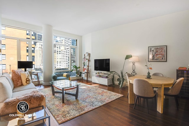 70 Little W St Unit 5C, New York City, NY 10280 - living area with plenty of natural light, hardwood / wood-style flooring, and baseboards