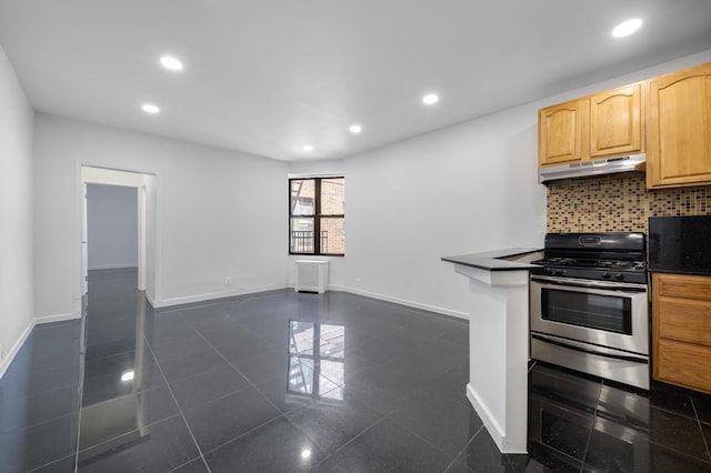 7002 Ridge Blvd Unit E-14, New York City, NY 11209 - kitchen with stainless steel gas stove, under cabinet range hood, recessed lighting, backsplash, and dark countertops