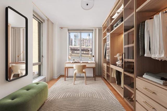office featuring light wood-style flooring