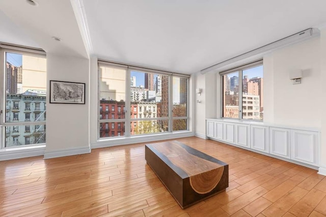 unfurnished room with light wood-style floors, baseboards, plenty of natural light, and a city view